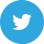 Twitter Icon